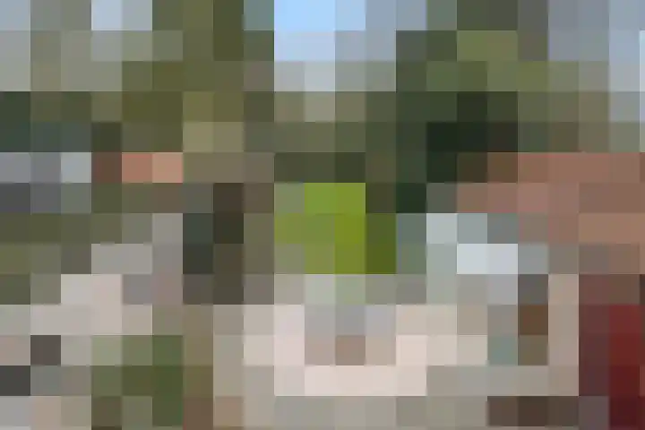 Stationslaan 7 Deurne thumbnail 36