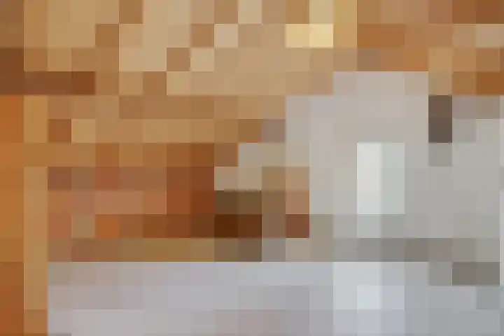 Stationslaan 7 Deurne thumbnail 46