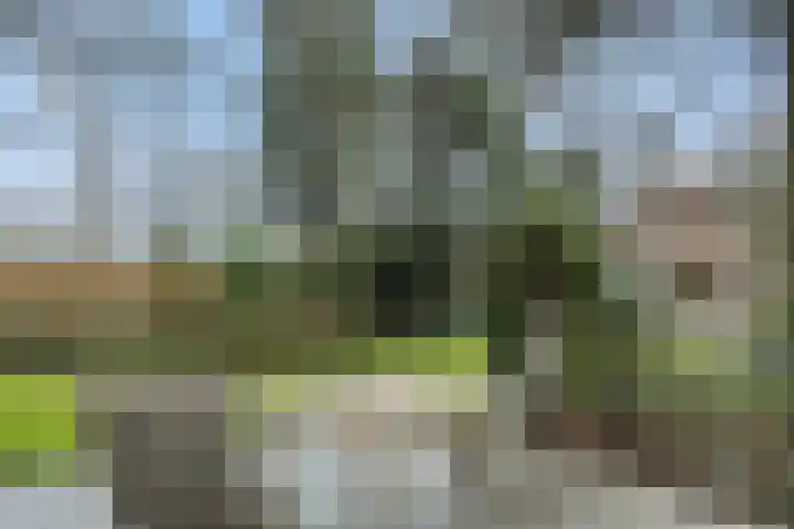 Stationslaan 7 Deurne thumbnail 53