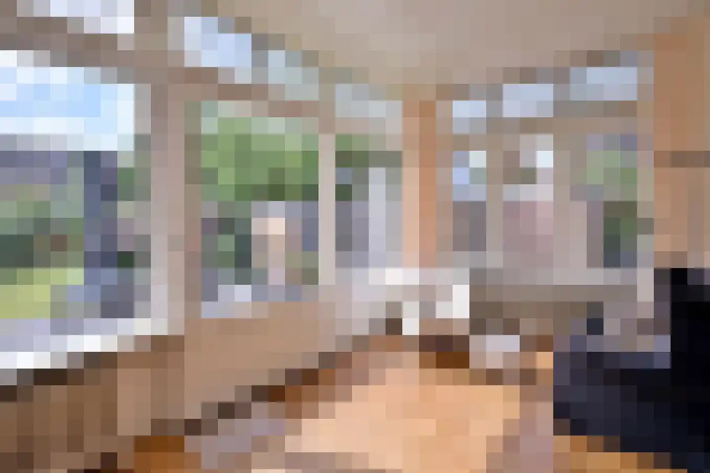 Stationsplein 20 Dieren thumbnail 16