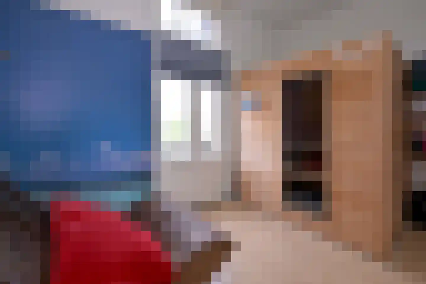 Stationsplein 20 Dieren thumbnail 33