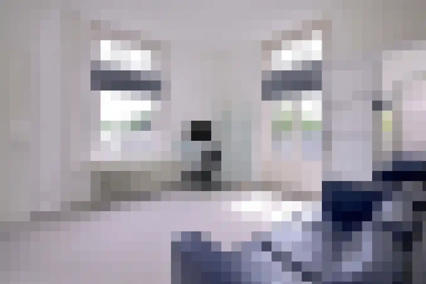 Stationsplein 20 Dieren thumbnail 37