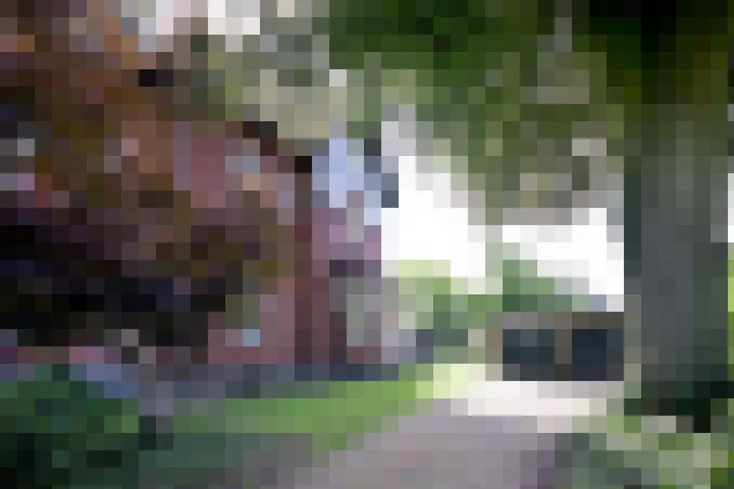 Stationsplein 20 Dieren thumbnail 61