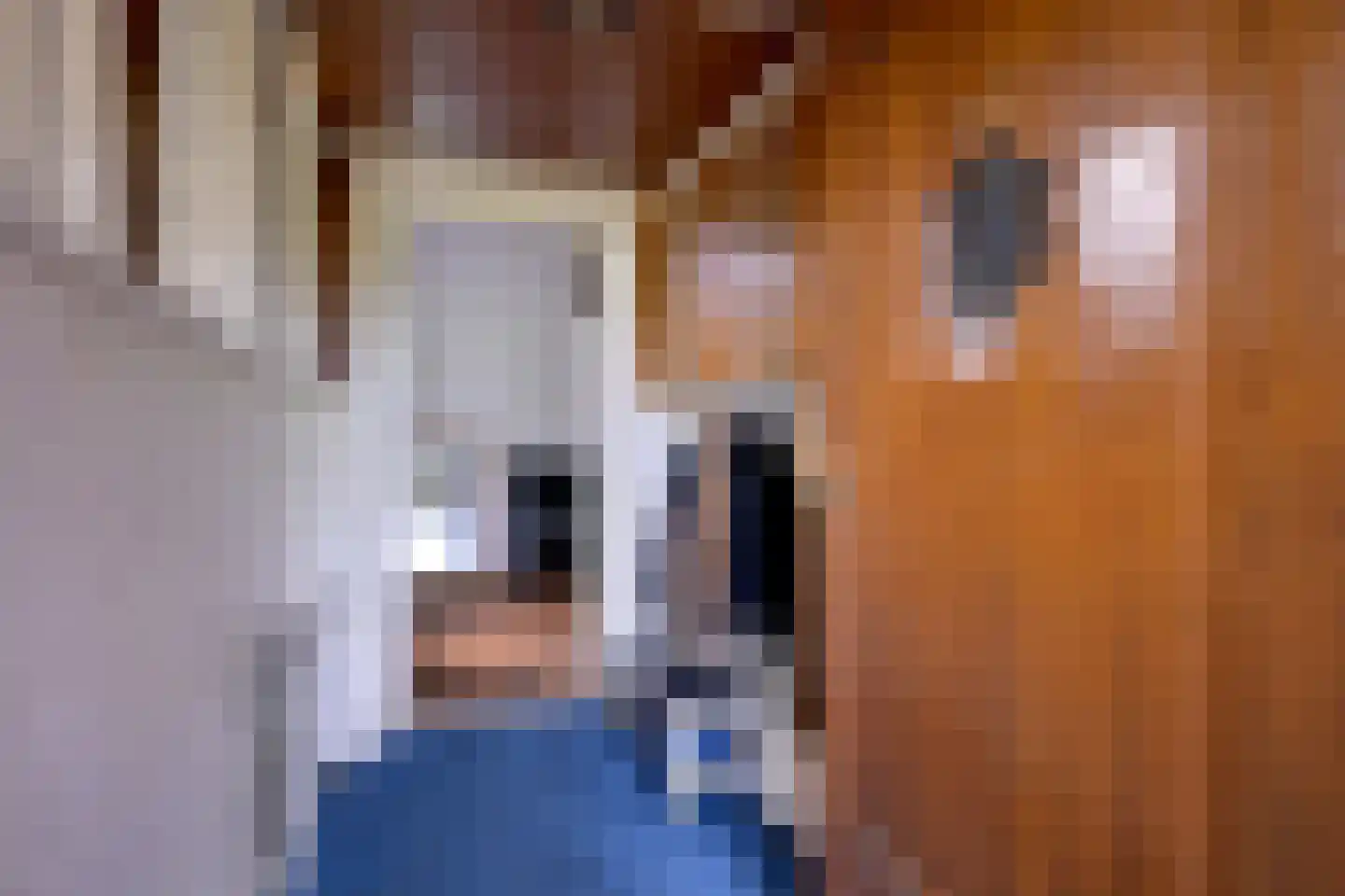 Stationsplein 20 Dieren thumbnail 7