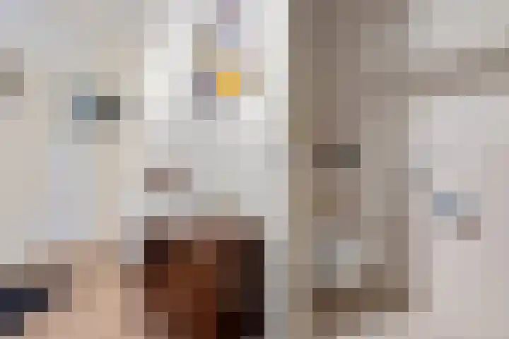 Stationsplein 4 e Dieren thumbnail 23