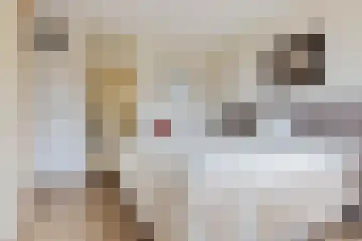Stationsplein 4 e Dieren thumbnail 26