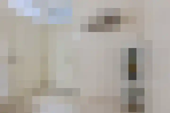 Stationsplein 4 e Dieren thumbnail 34