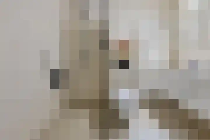 Stationsplein 4 e Dieren thumbnail 35