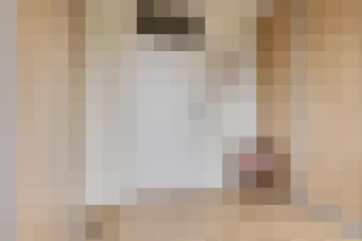 Stationsplein 4 e Dieren thumbnail 37