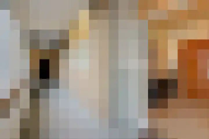 Stationsplein 42 Velp thumbnail 9