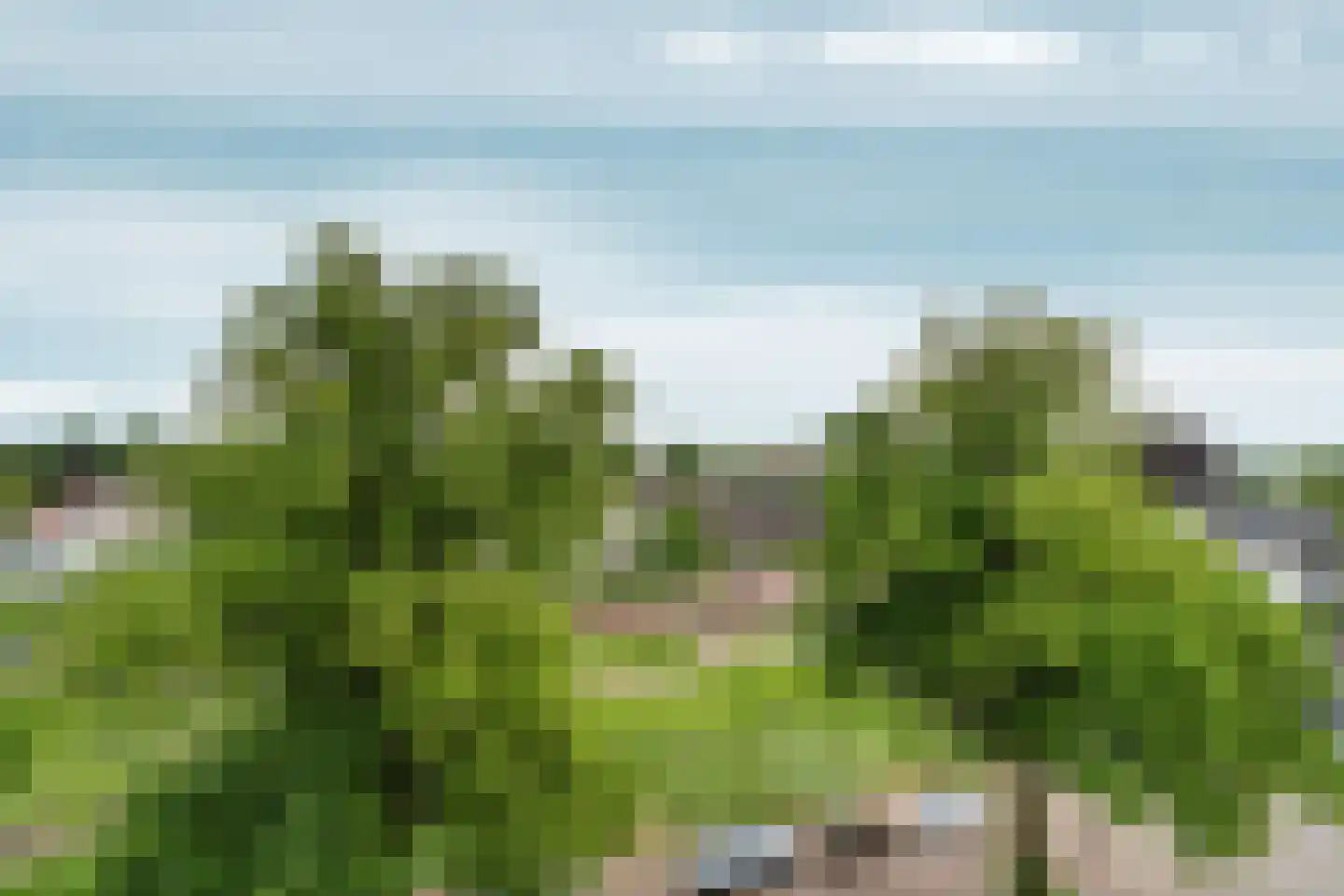 Stationsplein 94 Velp thumbnail 43