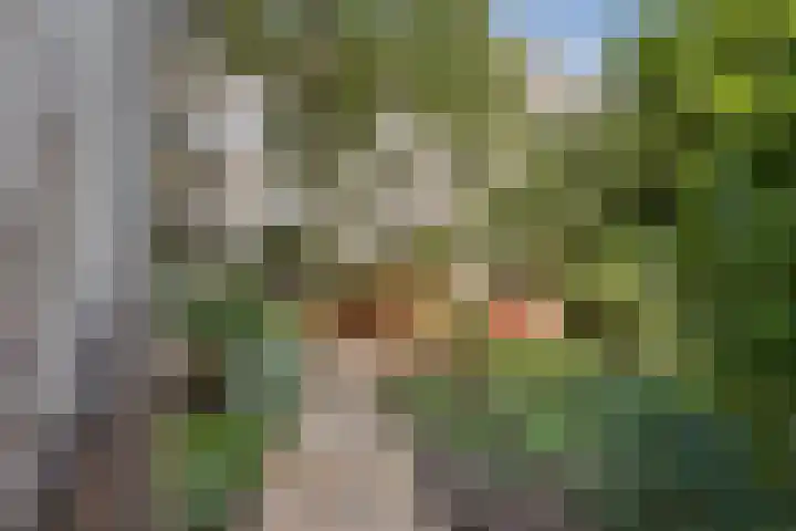 Stationssingel 91 C Rotterdam thumbnail 4