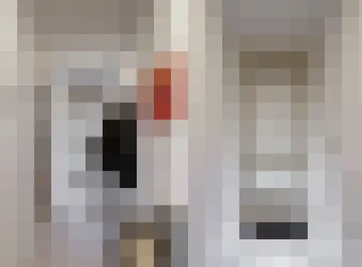 Stationsstraat 116 e Elsloo thumbnail 8