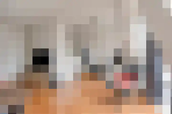 Stationsstraat 13 Lunteren thumbnail 9