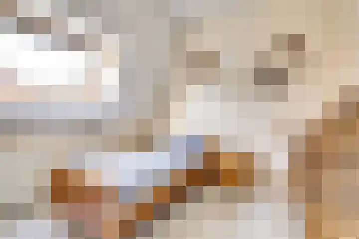 Stationsstraat 17 C Ermelo thumbnail 41