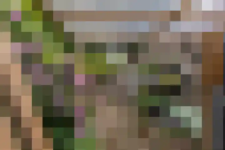 Stationsstraat 185 Elsloo thumbnail 30