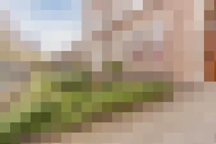 Stationsstraat 19 Geldrop thumbnail 44