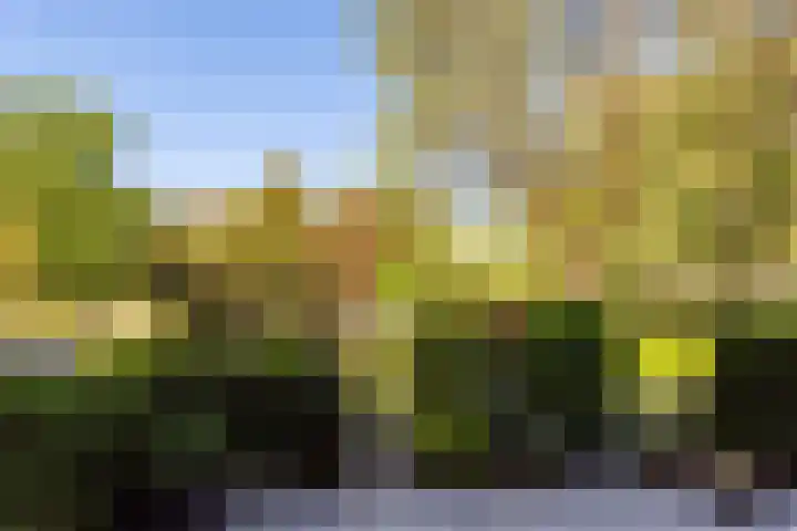 Stationsstraat 24 Vaassen thumbnail 27