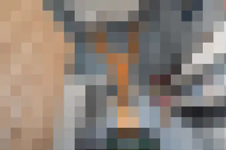 Stationsstraat 3 Bathmen thumbnail 21