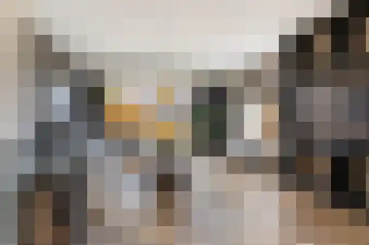 Stationsstraat 3 Bathmen thumbnail 5