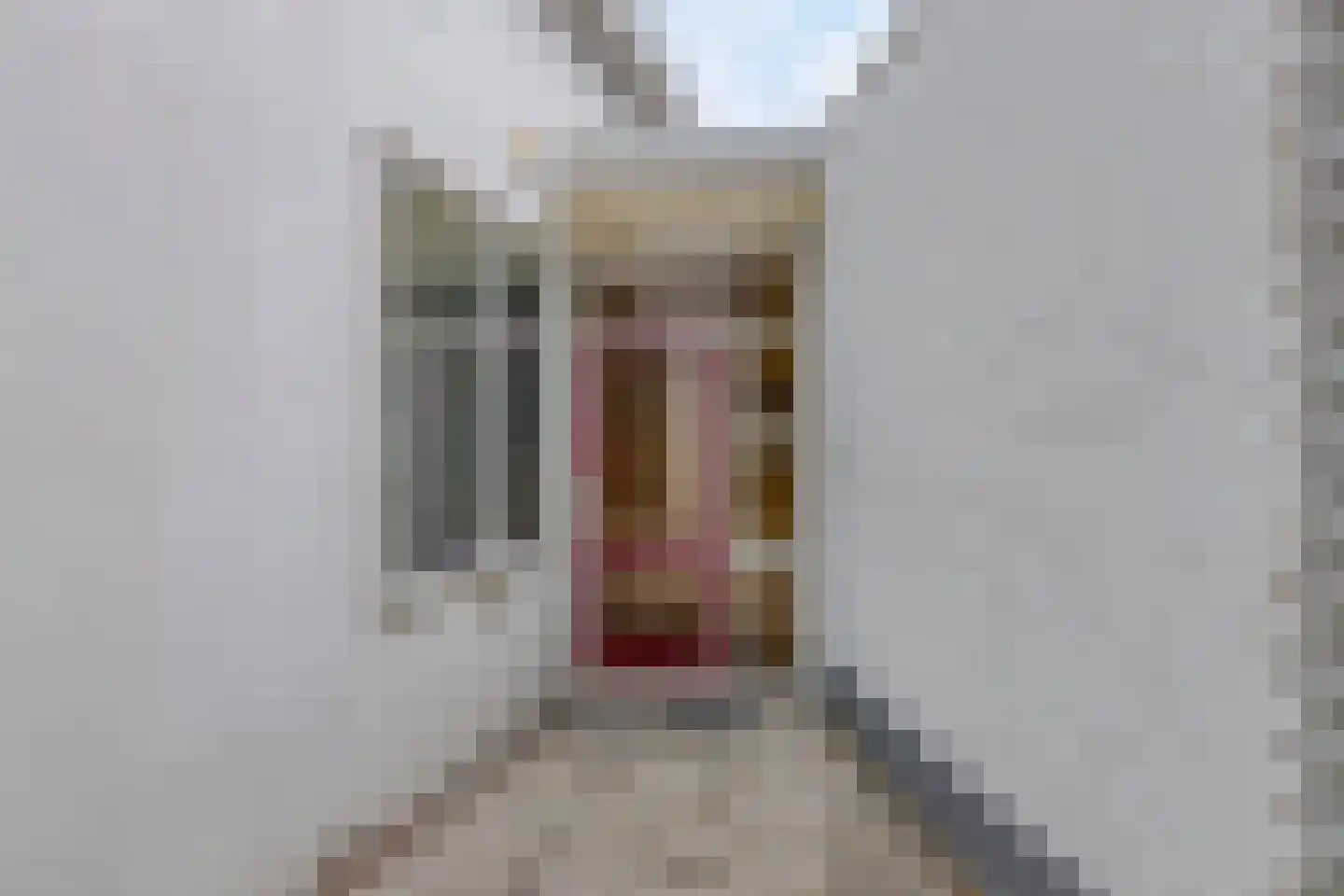 Stationsstraat 32 Zelhem thumbnail 7