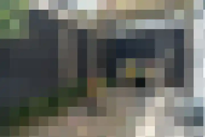 Stationsstraat 36 Epe thumbnail 35