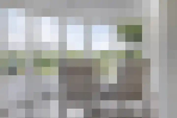 Stationsstraat 36 Kesteren thumbnail 11
