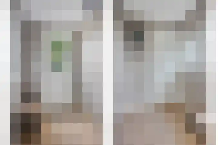Stationsstraat 36 Kesteren thumbnail 17