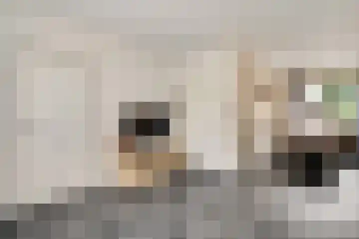 Stationsstraat 37 Swalmen thumbnail 7
