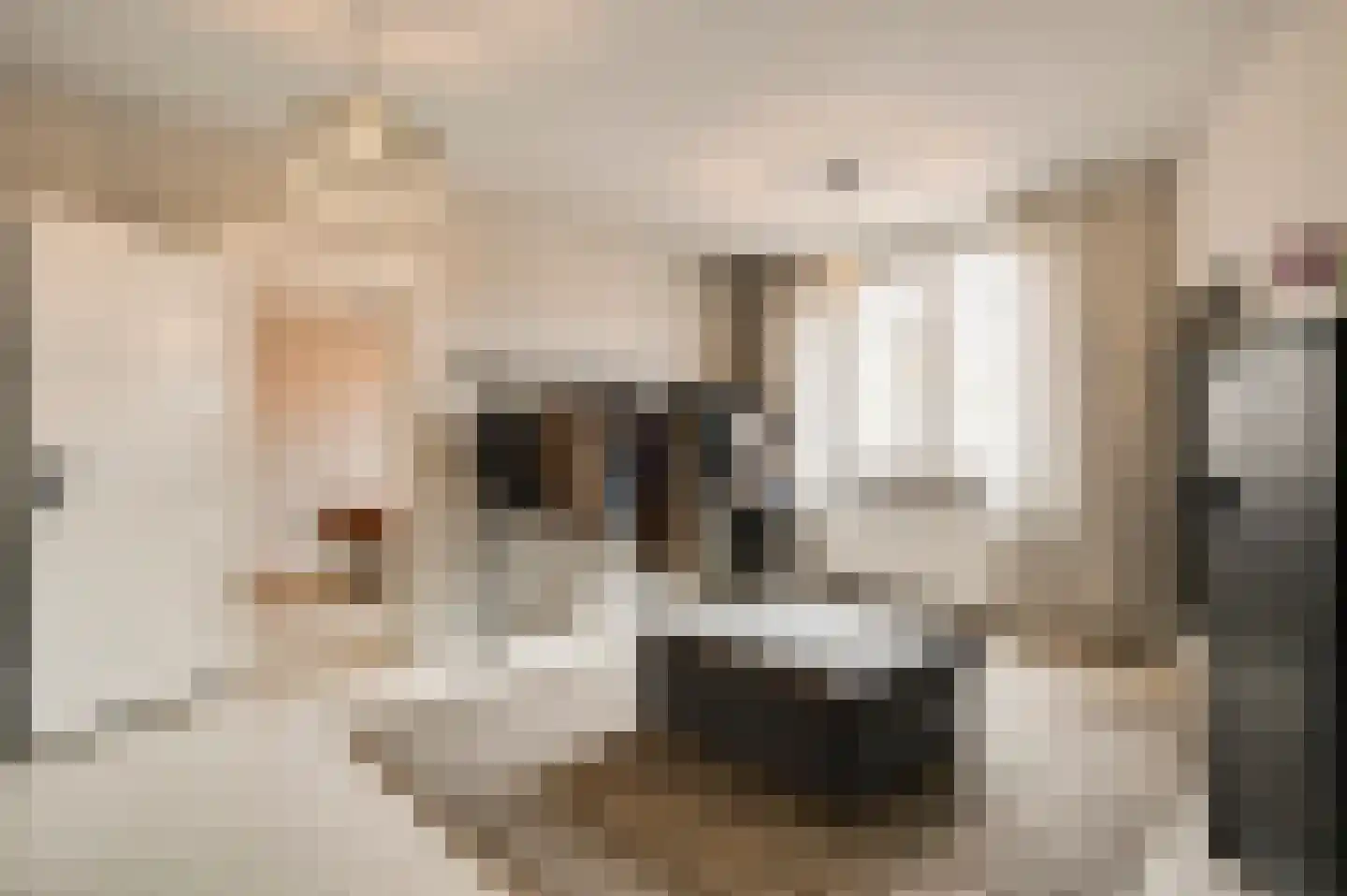 Stationsstraat 4 Schinnen thumbnail 34