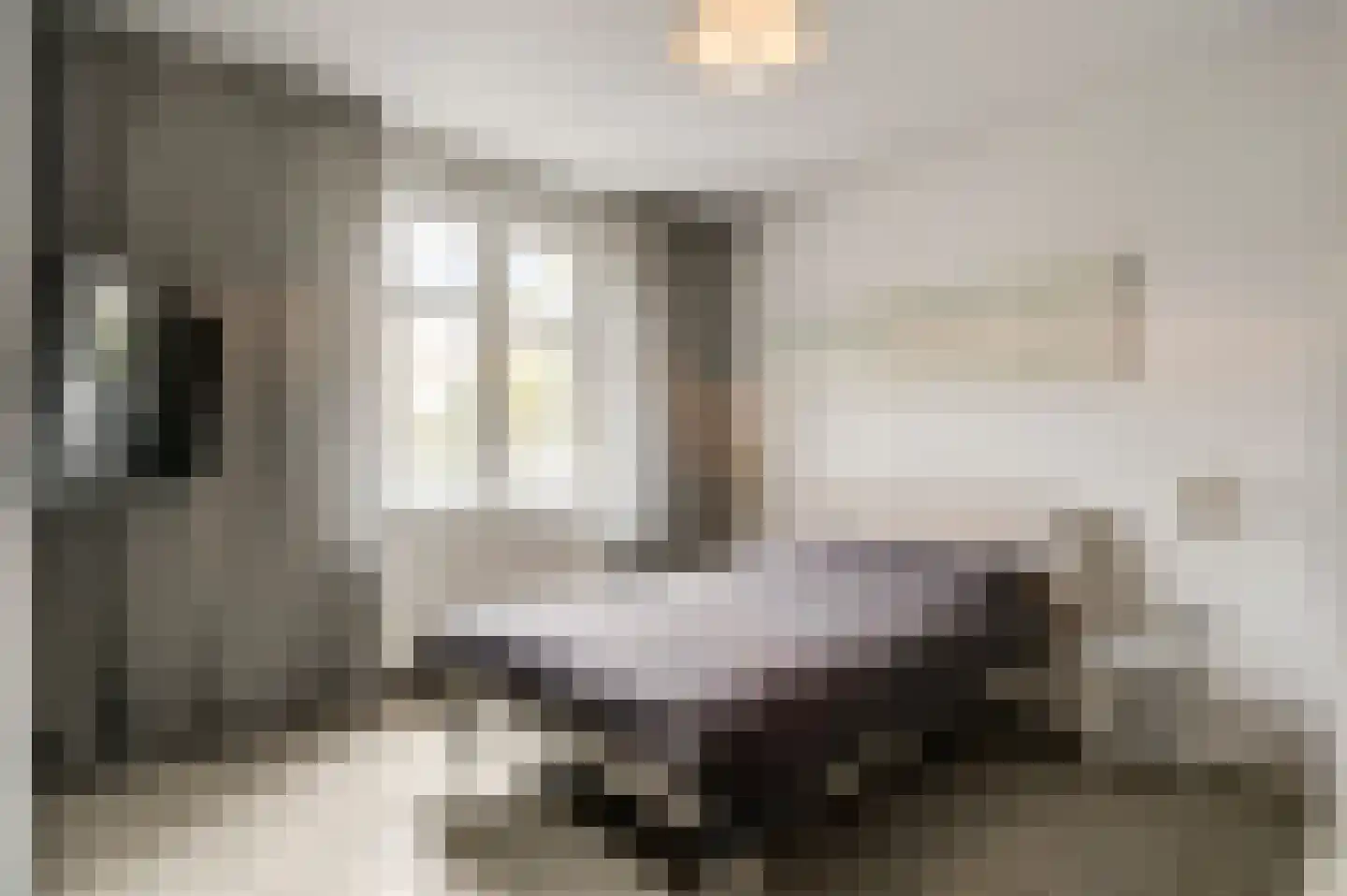 Stationsstraat 4 Schinnen thumbnail 39