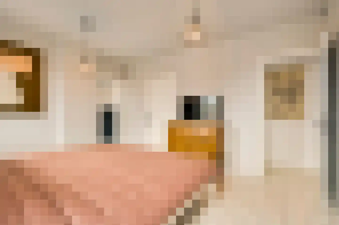 Stationsstraat 4 Schinnen thumbnail 4