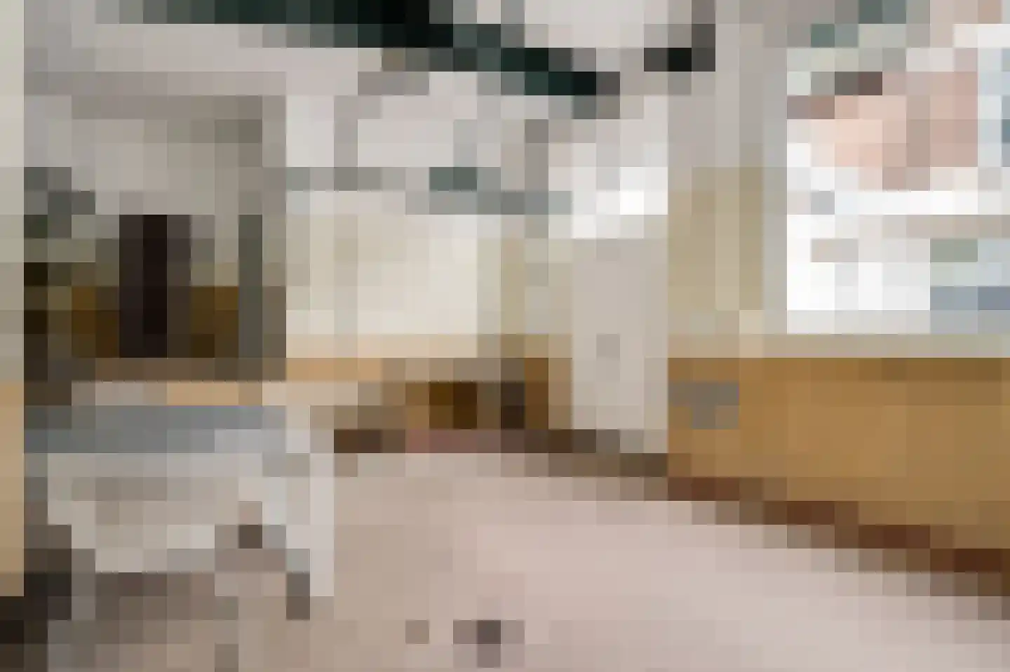 Stationsstraat 4 Schinnen thumbnail 52