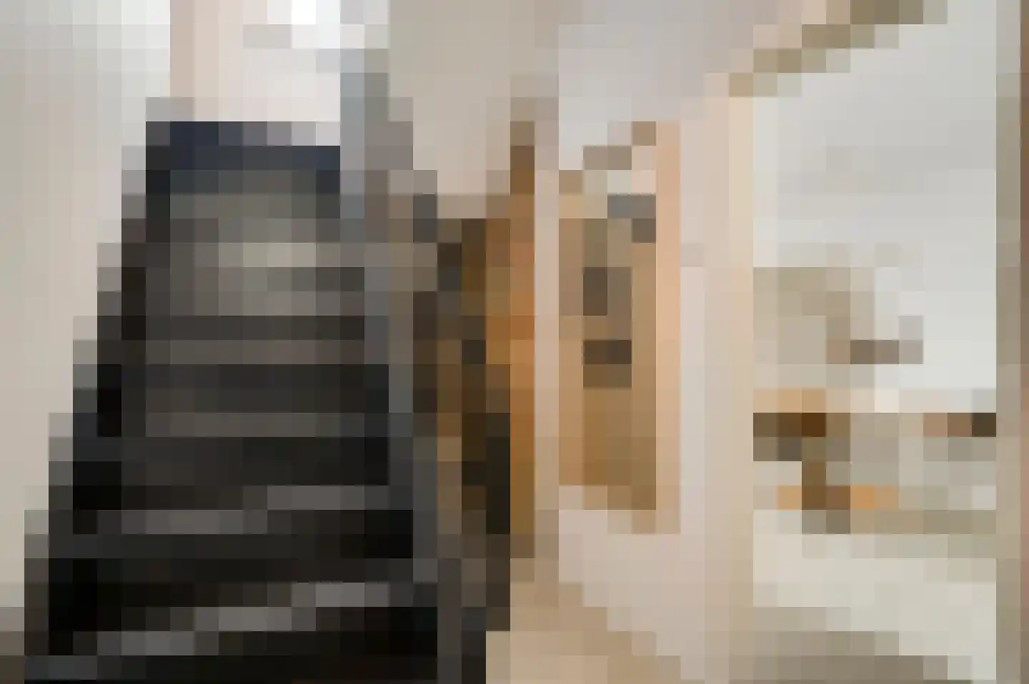 Stationsstraat 4 Schinnen thumbnail 6