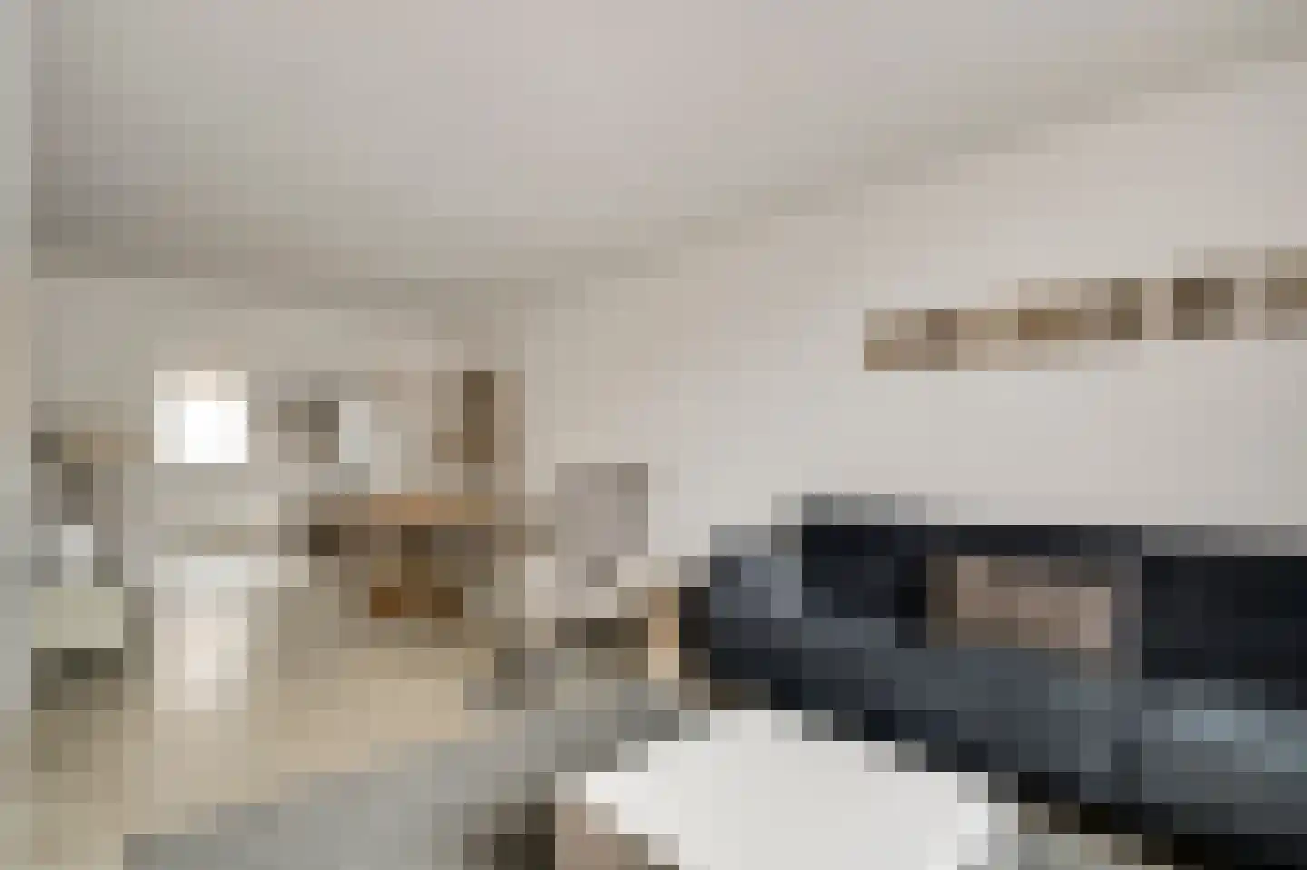 Stationsstraat 4 Schinnen thumbnail 9