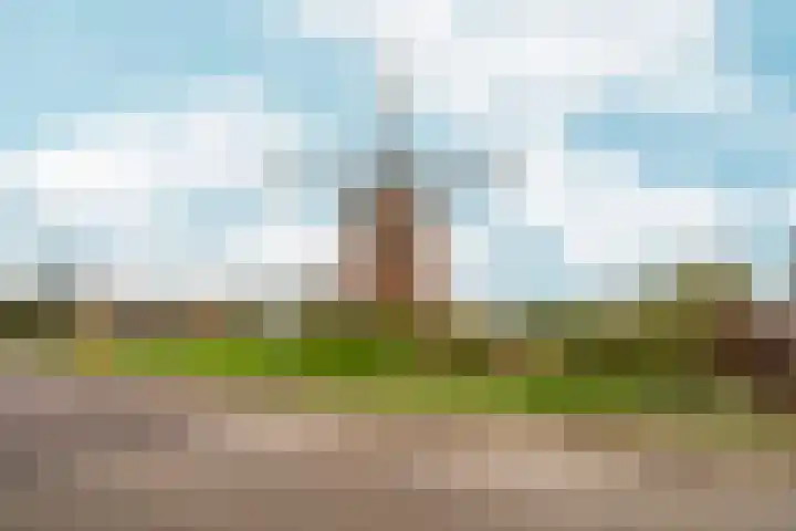 Stationsstraat 50 Zevenaar thumbnail 61