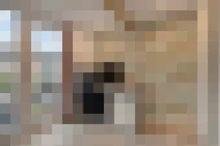 Stationsstraat 6 Axel thumbnail 14
