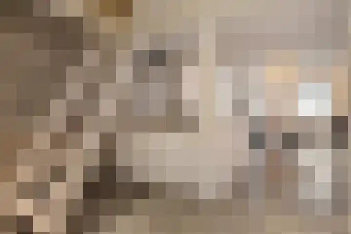 Stationsstraat 6 Axel thumbnail 9