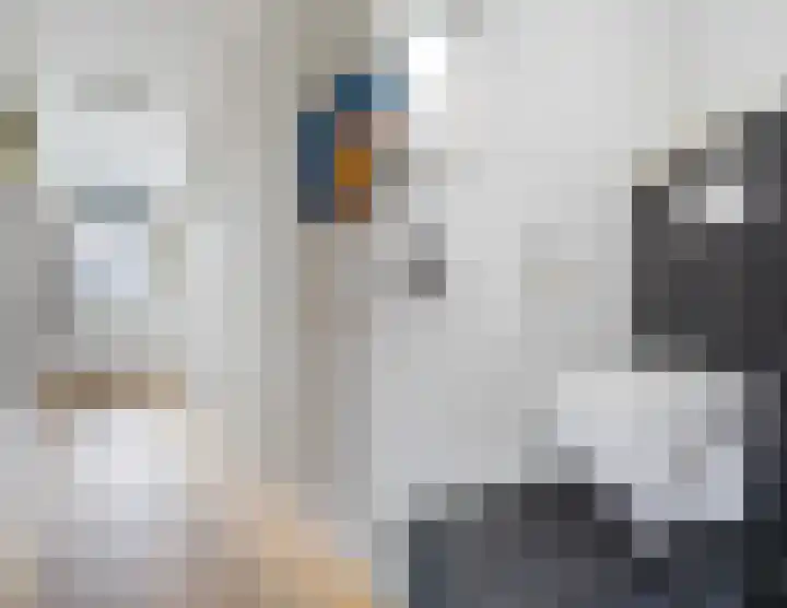 Stationsstraat 7 A Geldrop thumbnail 11