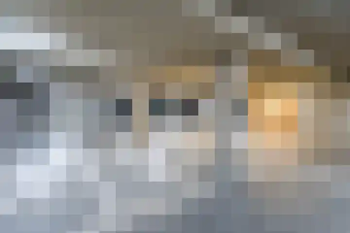 Stationsstraat 7 A Geldrop thumbnail 42