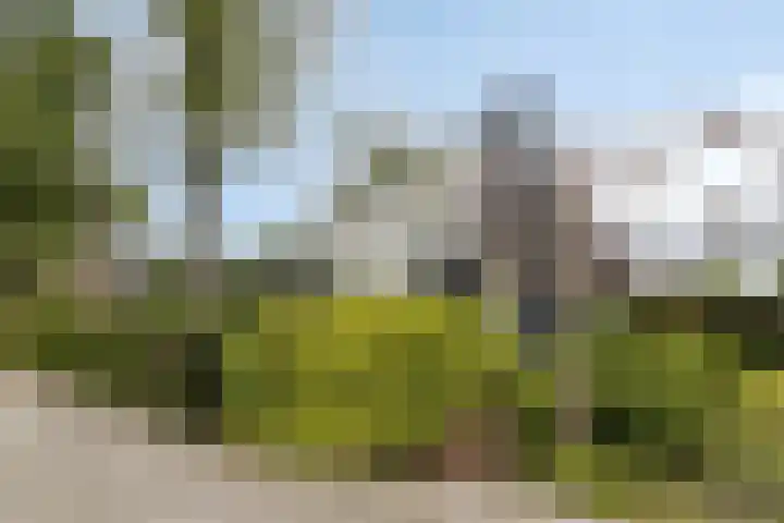 Stationsstraat 70 Scheemda thumbnail 40