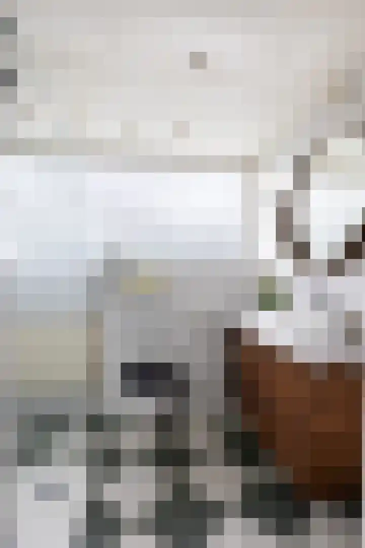 Stationsstraat 8 Ferwert thumbnail 34