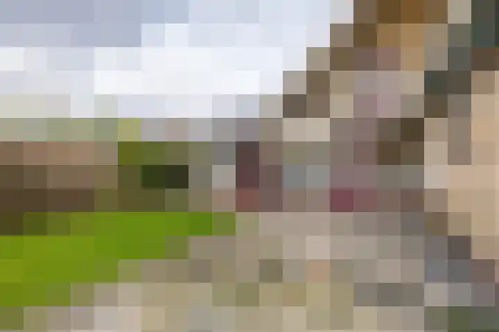Stationsstraat 8 Ferwert thumbnail 41