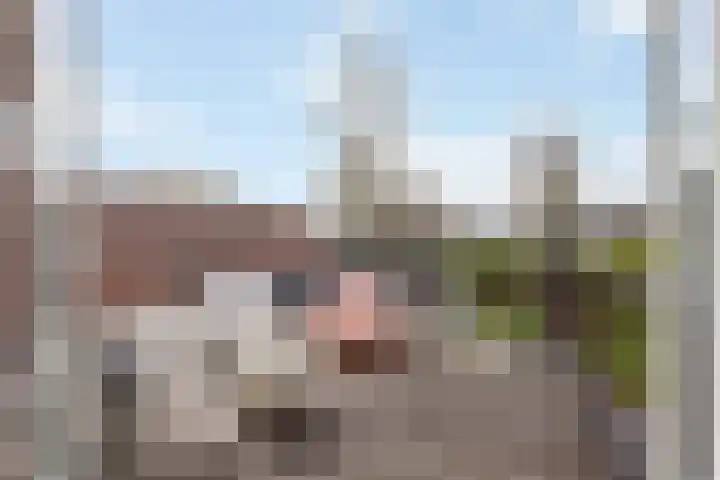 Stationsstraat 9 Vleuten thumbnail 30