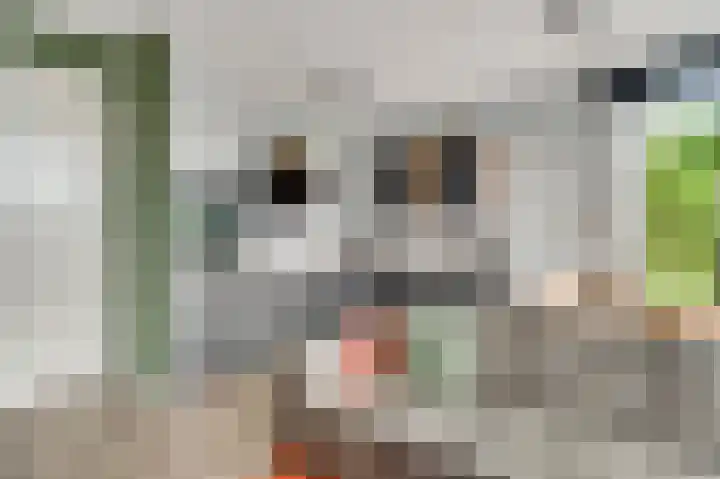 Stationstraat 18 Baexem thumbnail 11