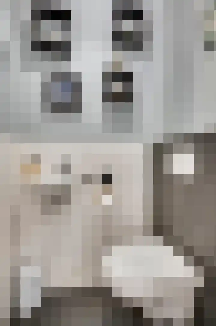Stationstraat 18 Baexem thumbnail 7