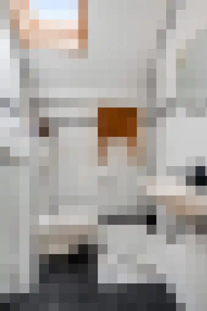 Stationstraat 28 Beek thumbnail 32