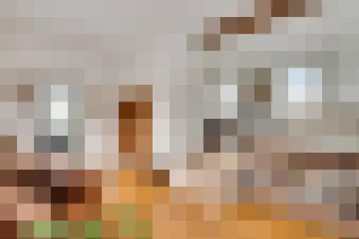 Stationstraat 28 Beek thumbnail 9
