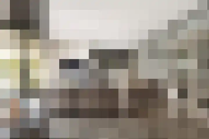 Stationsweg 10 Hedel thumbnail 12