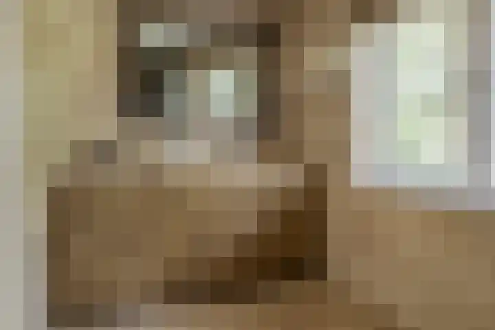 Stationsweg 10 Hedel thumbnail 22
